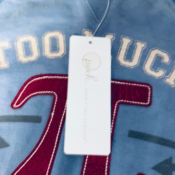 Peek Too Much Boys Sweatshirt Blue Size 2T NWT - Picture 6 of 6